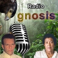 Radio Gnosis - ONLINE